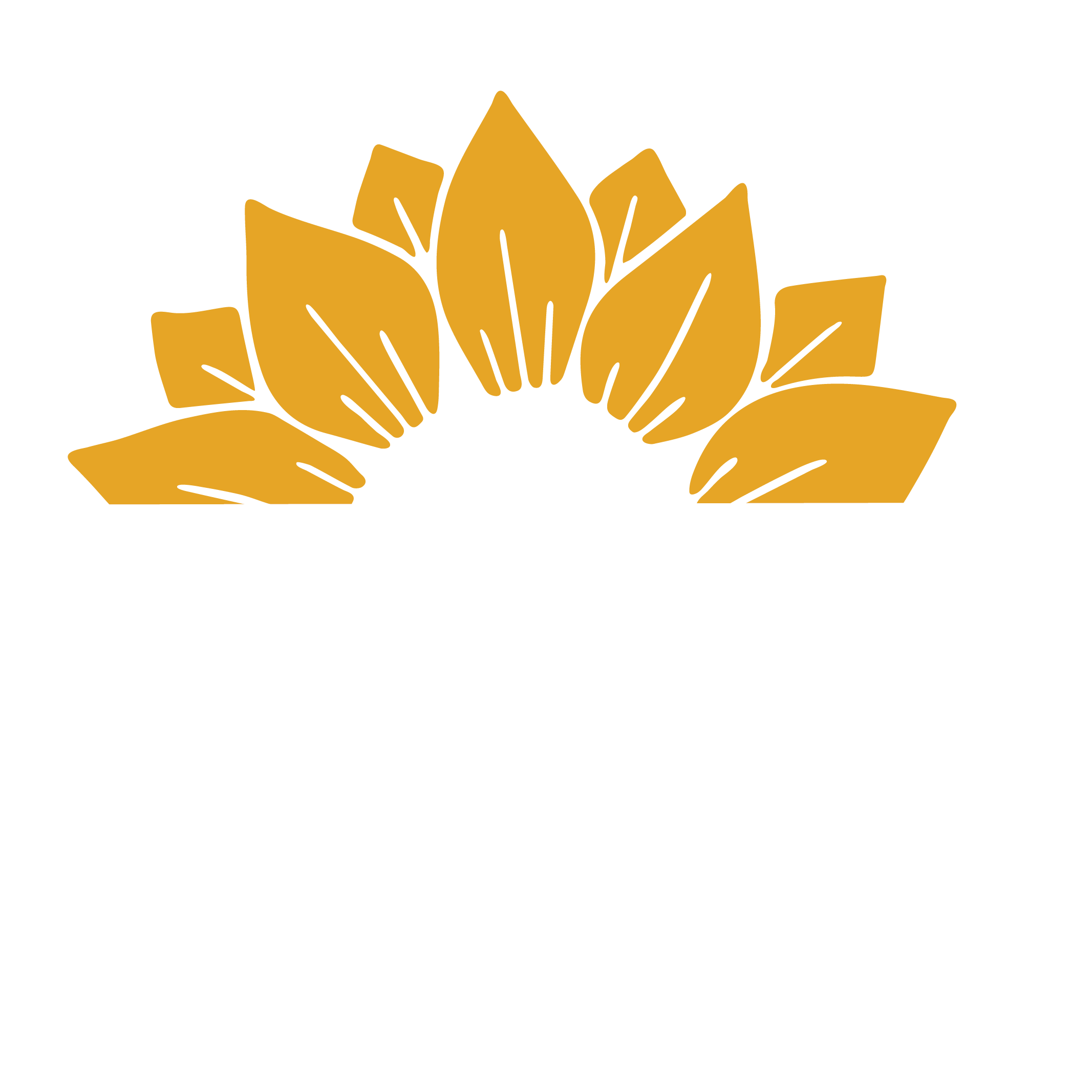 Association of Community Mental Health Centers of Kansas, Inc.